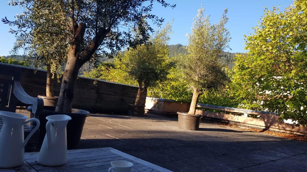 Le Manoir Des Sens - Foret De Бергхайм Екстериор снимка