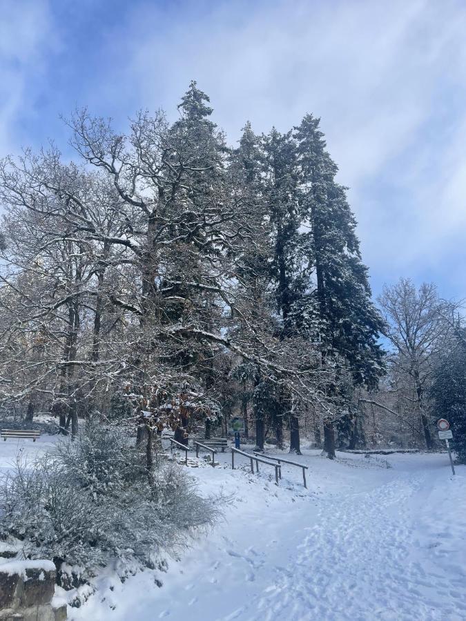 Le Manoir Des Sens - Foret De Бергхайм Екстериор снимка