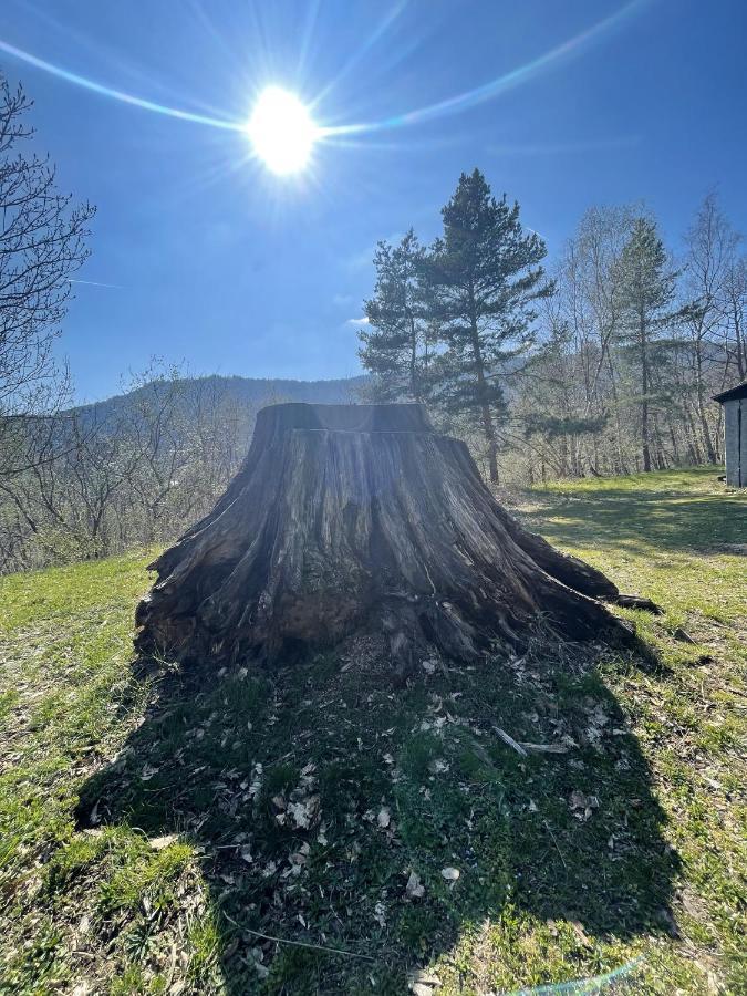Le Manoir Des Sens - Foret De Бергхайм Екстериор снимка